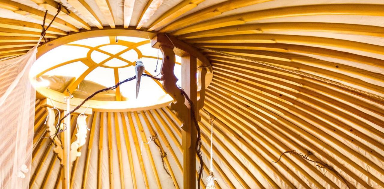 2 Cuori E 1 Yurta Glamping In Tuscany - Adults Only Asciano Ngoại thất bức ảnh
